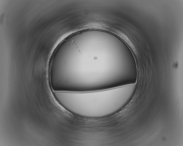 X0000095921339200801110845