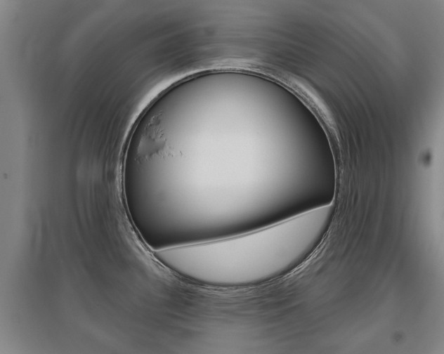X0000095921340200801110845