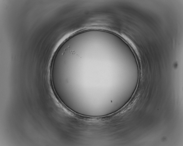 X0000095921341200801110845