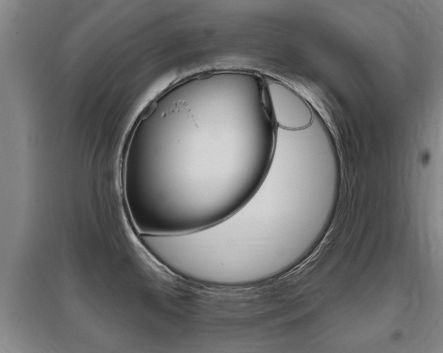 X0000095921342200801110845