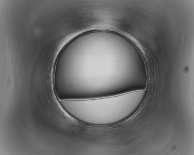 X0000095921343200801110845