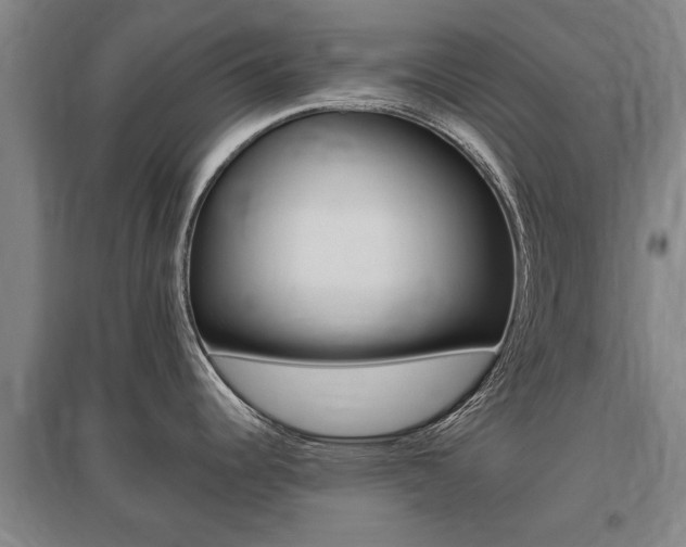 X0000095921344200801110845