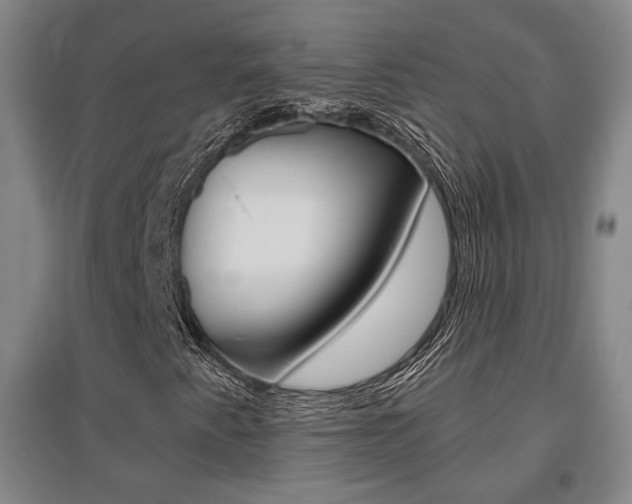 X0000095921345200801110845