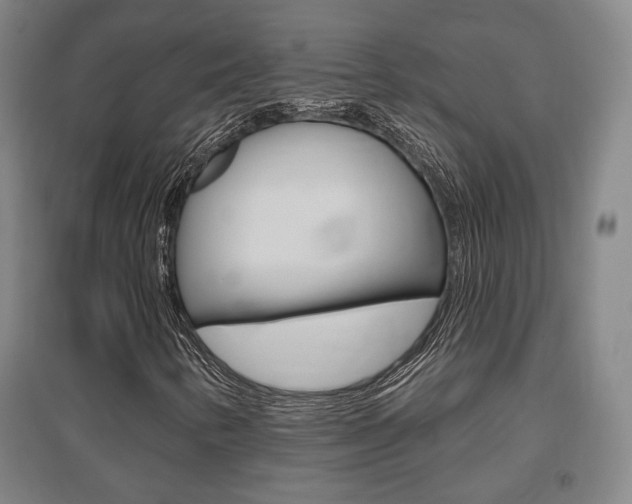 X0000095921346200801110845