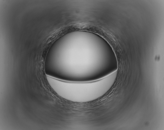 X0000095921349200801110845