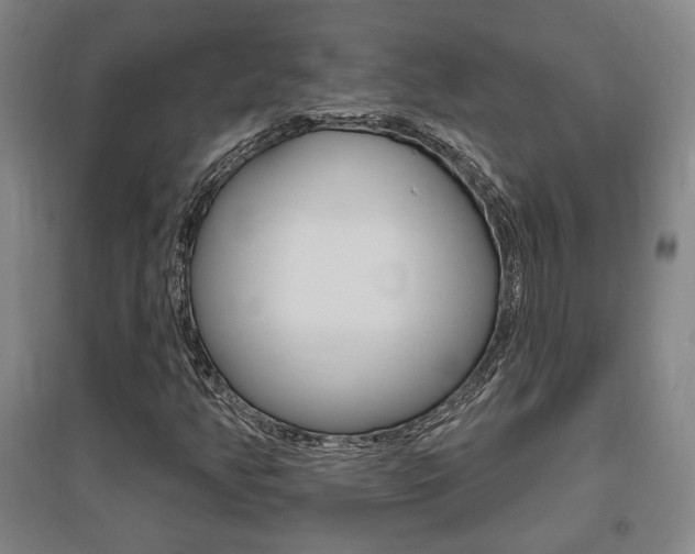 X0000095921350200801110845