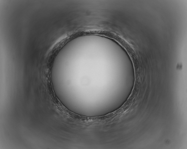 X0000095921351200801110845