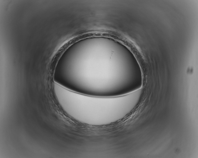 X0000095921352200801110844