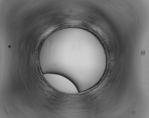 X0000095921354200801110844