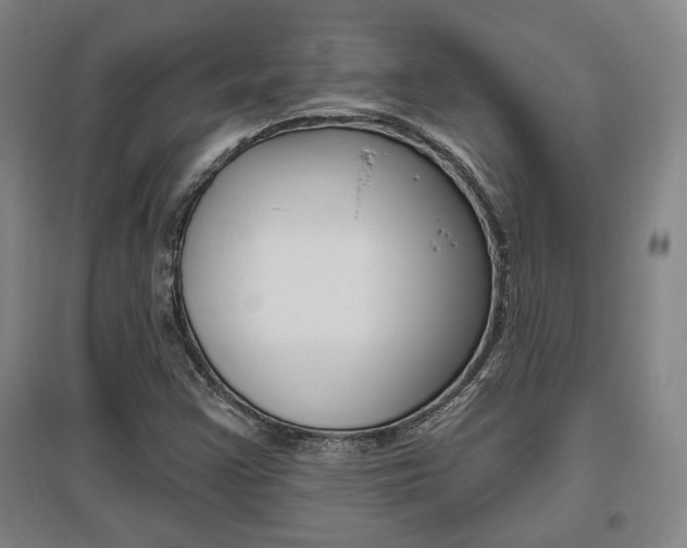 X0000095921355200801110844