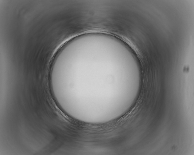 X0000095921356200801110844