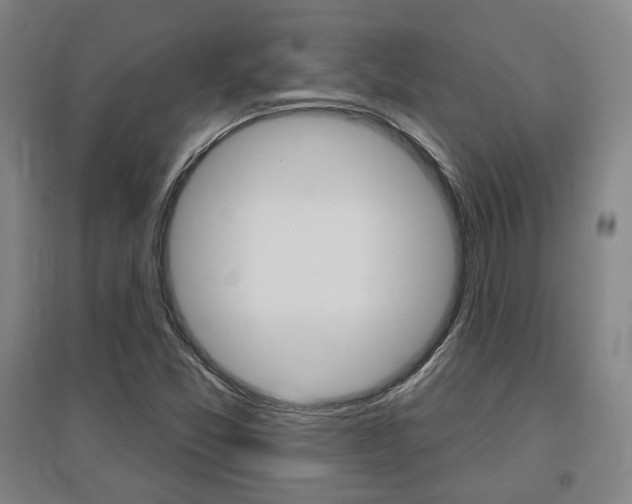 X0000095921357200801110844