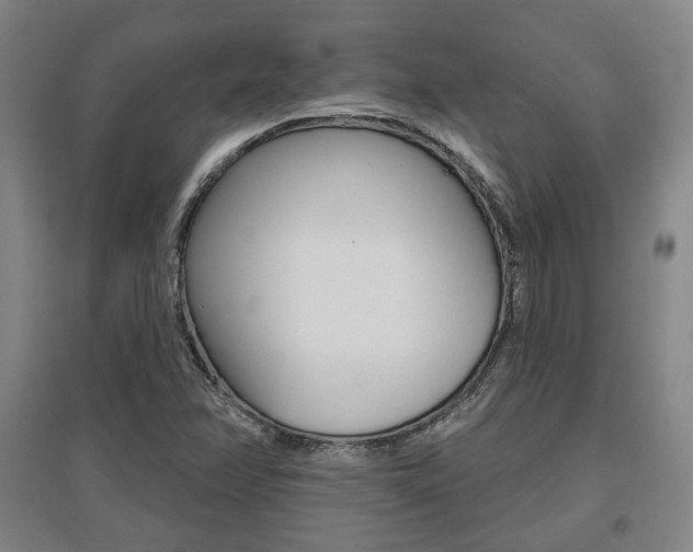 X0000095921358200801110844