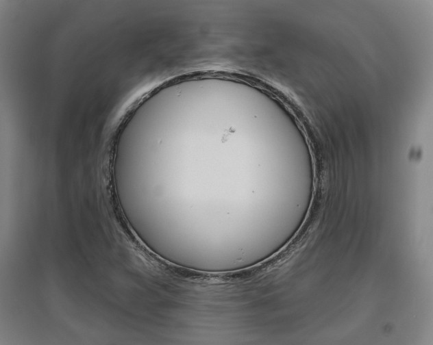X0000095921359200801110844