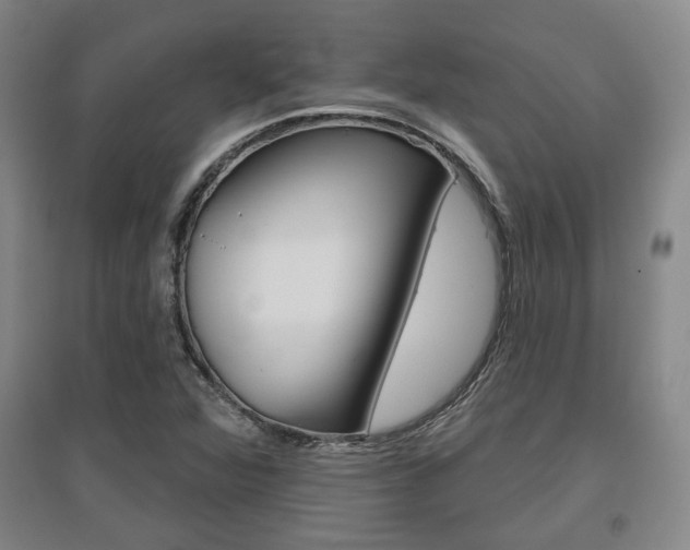 X0000095921360200801110844
