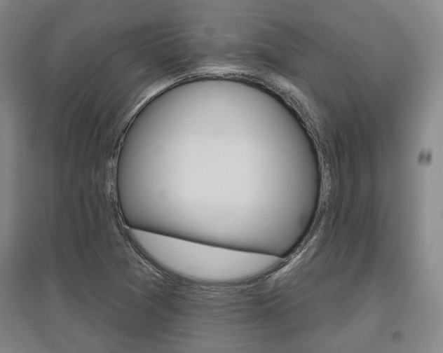 X0000095921361200801110844