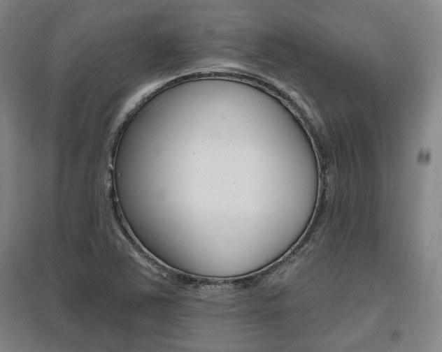 X0000095921363200801110844