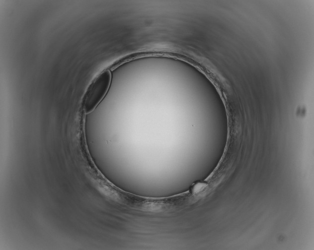 X0000095921364200801110844