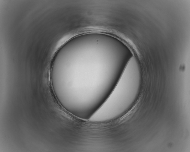 X0000095921365200801110844