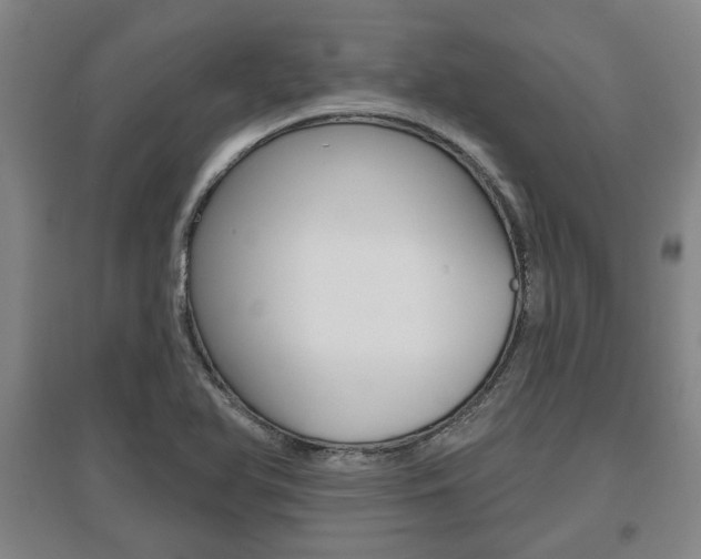X0000095921366200801110844