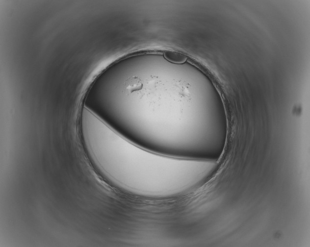X0000095921367200801110844