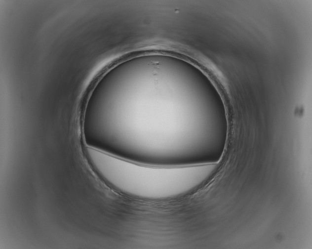 X0000095921368200801110844