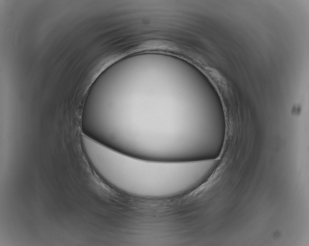 X0000095921369200801110844