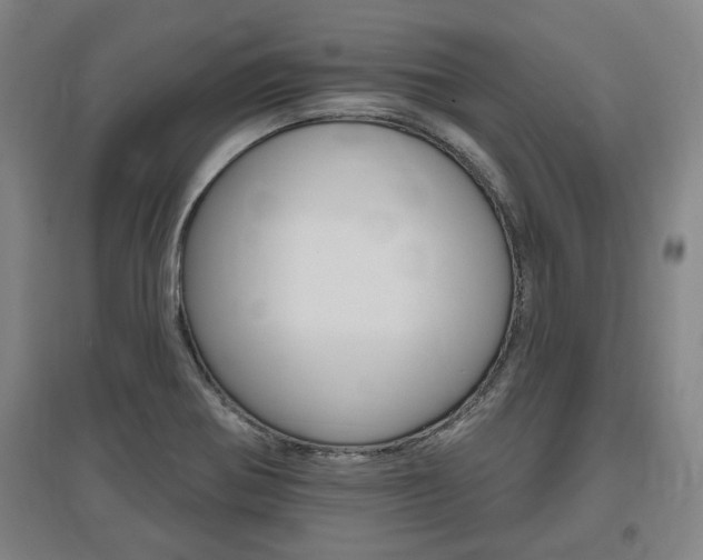 X0000095921370200801110844