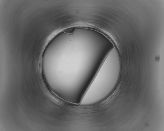 X0000095921371200801110844