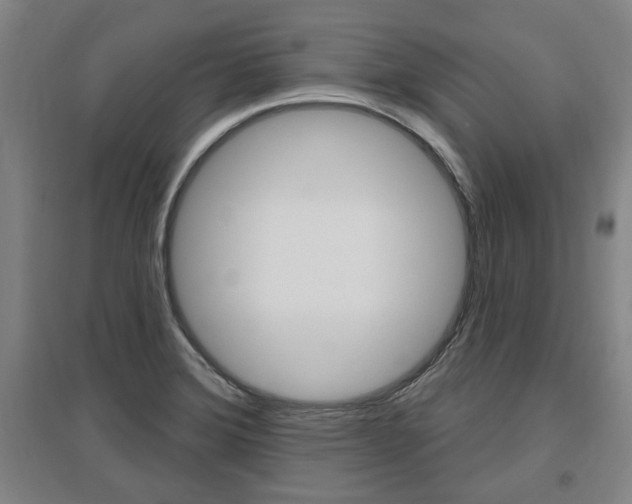 X0000095921372200801110844