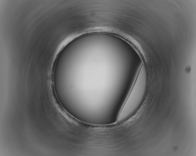 X0000095921373200801110844