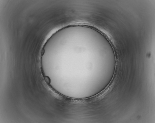 X0000095921374200801110844