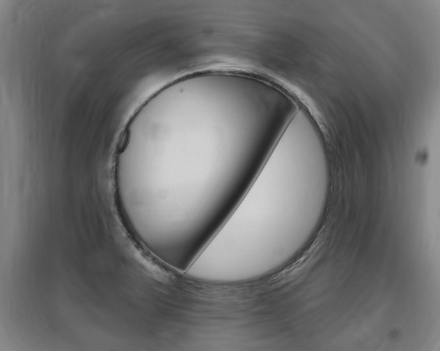 X0000095921375200801110844