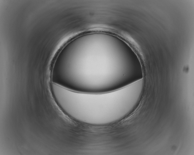 X0000095921376200801110844