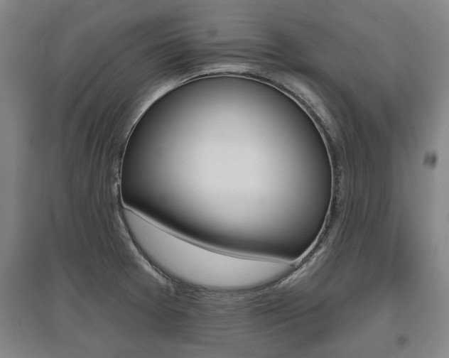 X0000095921377200801110844