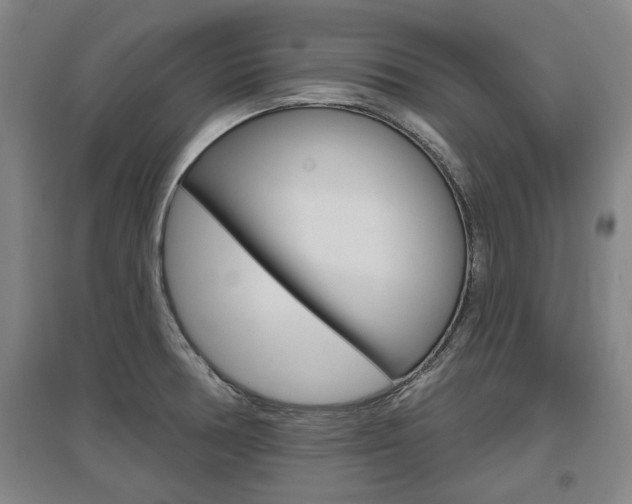 X0000095921378200801110844
