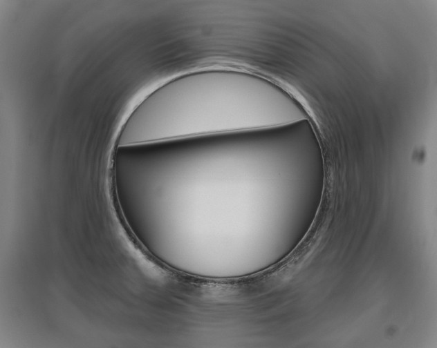 X0000095921379200801110844