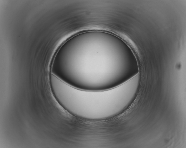 X0000095921380200801110844