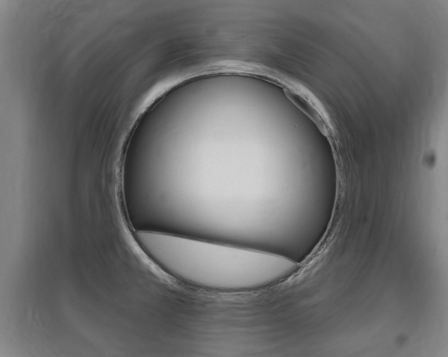 X0000095921381200801110844