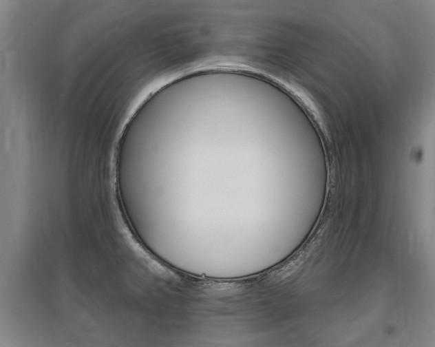 X0000095921382200801110844
