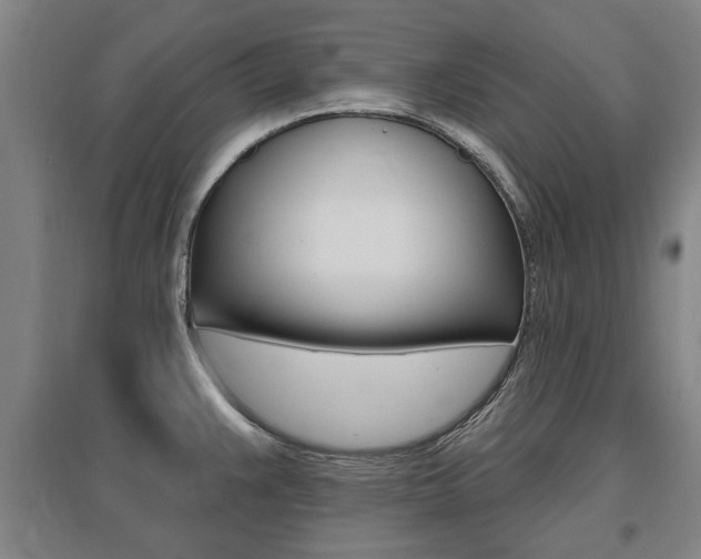X0000095921383200801110844