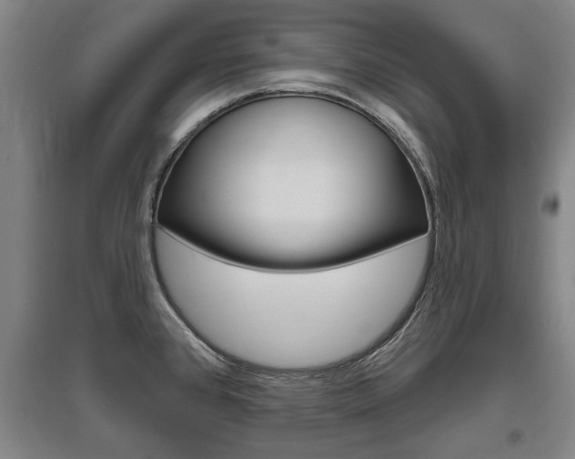 X0000095921384200801110844