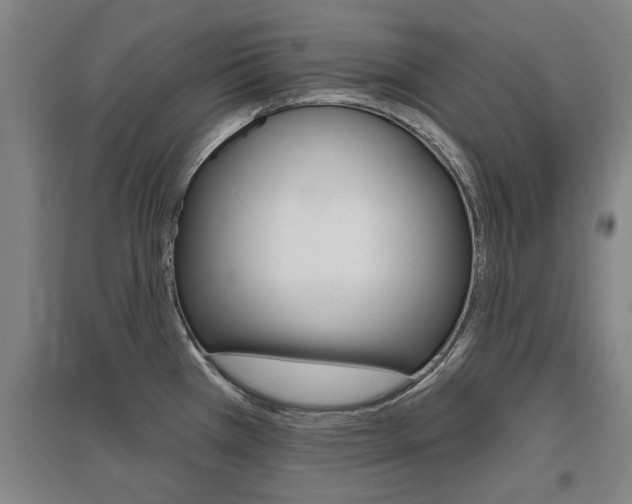 X0000095921385200801110844