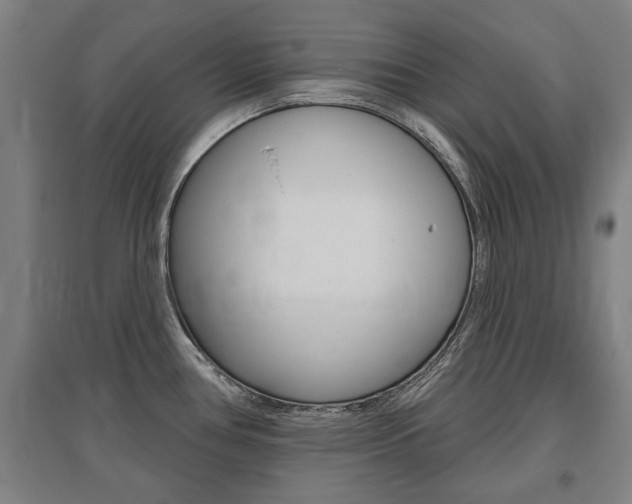 X0000095921386200801110844
