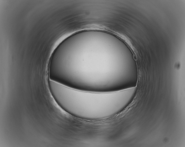 X0000095921387200801110844
