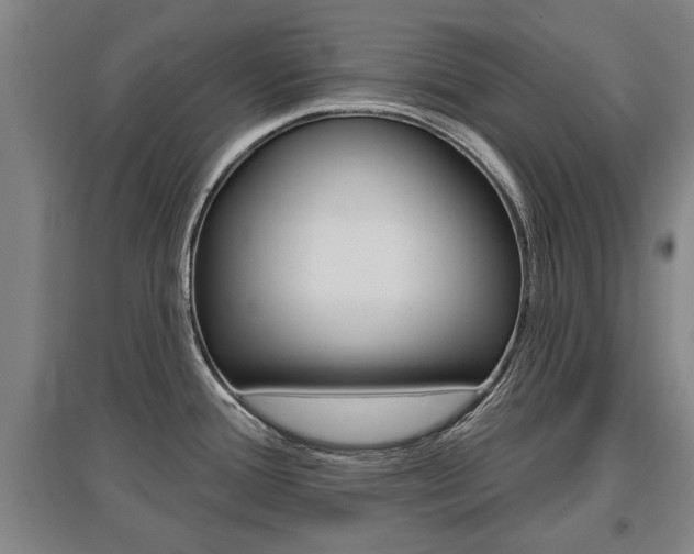 X0000095921388200801110844