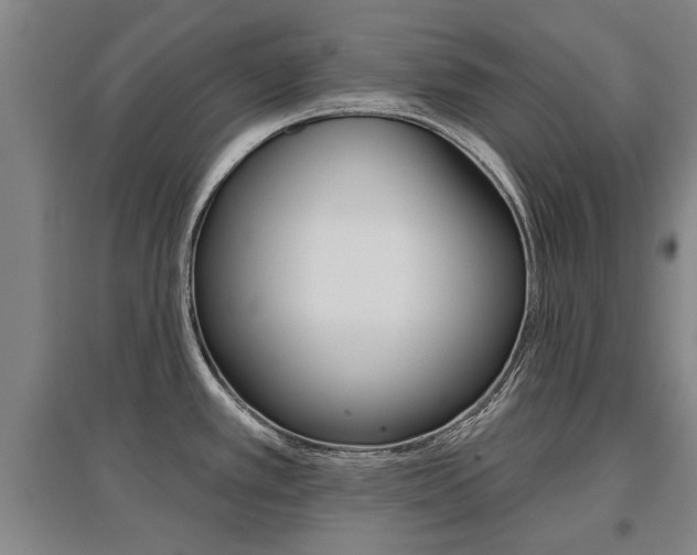 X0000095921389200801110844