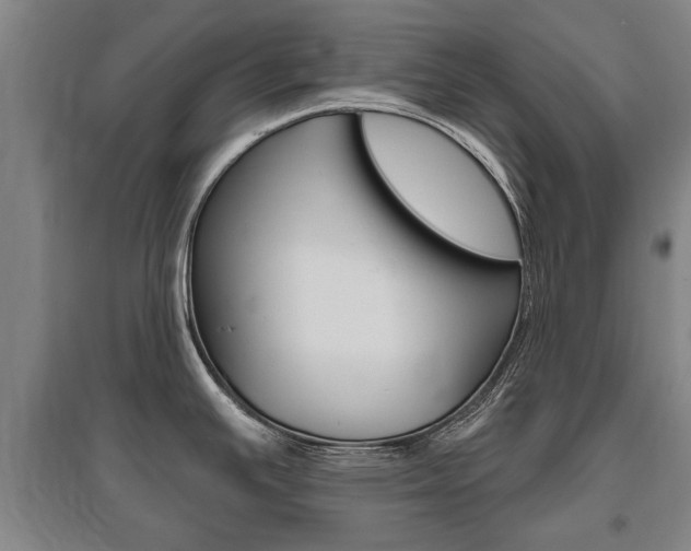 X0000095921391200801110844