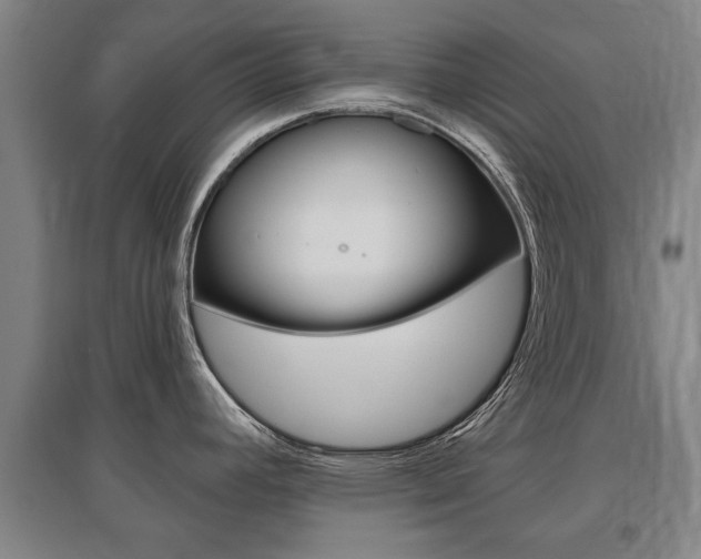 X0000095921392200801110844