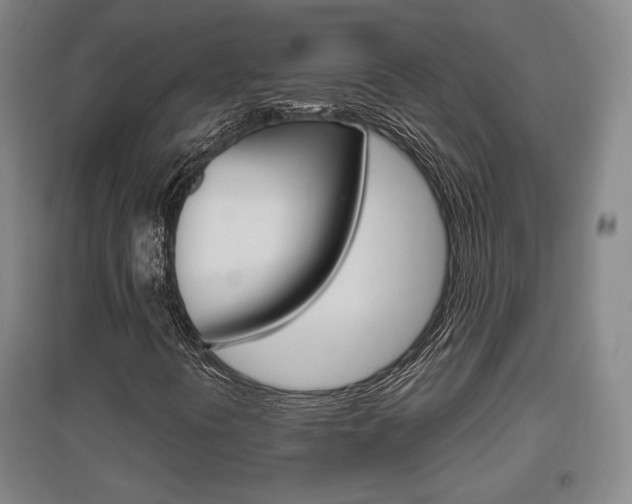X0000095921394200801110843